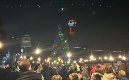 Santa basket Terex crane